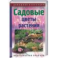russische bücher:  - Садовые цветы и растения