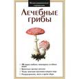 russische bücher: Афонькин С.Ю. - Лечебные грибы