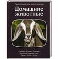 russische bücher:  - Домашние животные