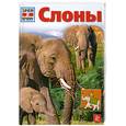 russische bücher: Зедлаг У. - Слоны