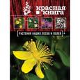 russische bücher: Орел А.А. - Красная книга. Растения наших лесов и полей