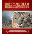 russische bücher: Скалдина О.В., Слиж Е.А. - Большая красная книга