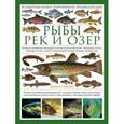 russische bücher: Даниэл Гилпин - Рыбы рек и озер. Всемирная иллюстрированная энциклопедия