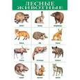russische bücher:  - Плакат "Лесные животные" (1919)