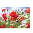 russische bücher:  - Календарь "Маки с ромашками" на 2017 год