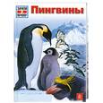 russische bücher: Кулик Б. - Пингвины