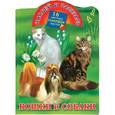 russische bücher:  - Кошки и собаки. 16 цветных наклеек внутри