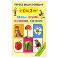 russische bücher:  - Овощи, фрукты, животные, растения. Развивающие карточки для детей от 0 до 3-х лет