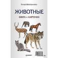 russische bücher: Шапошникова Т. - Животные (Книга+карточки) 