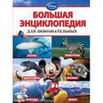 russische bücher:  - Большая энциклопедия для любознательных