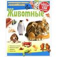 russische bücher:  - Животные. Развивающая книжка с наклейками (+ плакат)
