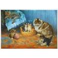 russische bücher:   - Кошка с котятами
