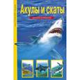 russische bücher: Крылов Г. - Акулы и скаты