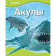 russische bücher:  - Акулы