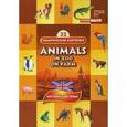 russische bücher:  - Тематические карточки: Животные (Animals)