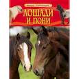 russische bücher:  - Лошади и пони