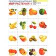 russische bücher:  - Мир растений-1. Разрезные карточки