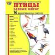 russische bücher: Цветкова Т.В. - Птицы разных широт (набор из 16 демонстрационных картинок)