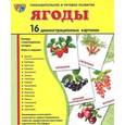 russische bücher: Цветкова Т.В. - Ягоды (набор из 16 демонстрационных картинок)