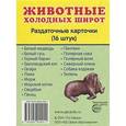russische bücher:  - Раздаточные карточки "Животные холодных широт" (16 штук)