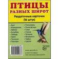 russische bücher:  - Раздаточные карточки "Птицы разных широт"