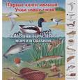 russische bücher:  - Животные и растения морей и океанов