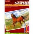 russische bücher:  - Раскраска цветными карандашами: Конь (Рн017)
