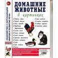 russische bücher:  - Домашние животные в картинках. Наглядное пособие для педагогов, воспитателей и родителей