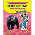 russische bücher:  - Животные Южной Америки (набор из 16 обучающих карточек)