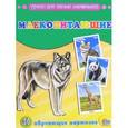 russische bücher:  - Млекопитающие (набор из 16 обучающих карточек)