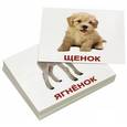 russische bücher: Носова Т. Е. - Комплект мини-карточек "Domestic animals/Домашние животные" (40 штук)