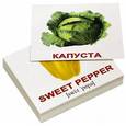 russische bücher: Носова Т. Е. - Комплект мини-карточек "Vegetables/Овощи" (40 штук)