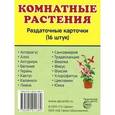 russische bücher:  - Комнатные растения (набор из 16 карточек)