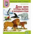 russische bücher:  - Мир животных: Дикие животные (звери) и птицы жарких стран