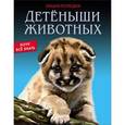 russische bücher: Калугина Леся - Детёныши животных