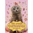 russische bücher: Мой личный дневничок - Мой личный дневничок "Котик с клубком"