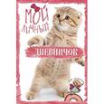 russische bücher: Мой личный дневничок - Мой личный дневничок "Рыжий котик"