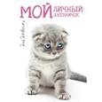 russische bücher: Мой личный дневничок - Мой личный дневничок "Котик грустный"