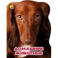 russische bücher: Ушкина Наталья - Домашние животные