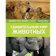 russische bücher:  - Удивительный мир животных