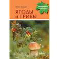 russische bücher: Волцит П. - Ягоды и грибы