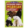 russische bücher: Завязкин О.В. - Большая книга. Медведи