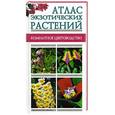 russische bücher: Крупичева - Атлас экзотических растений. Комнатное цветоводство.
