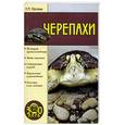 russische bücher: Сбитнева - Черепахи