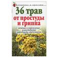 russische bücher: Нестерова - 36 трав от простуды и гриппа: Лечение и укрепление иммунитета народными средствами
