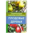 russische bücher: Цветкова М. - Плодовые деревья