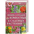 russische bücher:  - Энциклопедия комнатных и садовых растений