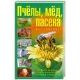 russische bücher:  - Пчелы, мед, пасека. Опыт пчеловодов