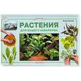 russische bücher: Хискок П. - Растения для вашего аквариума