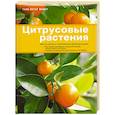 russische bücher: Майер Г-П. - Цитрусовые растения